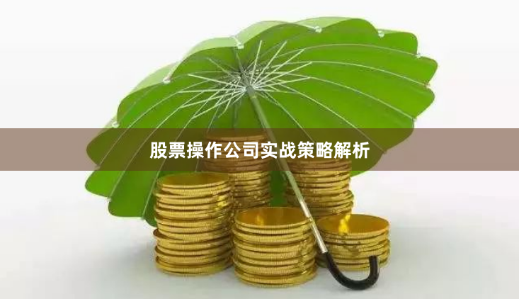 股票操作公司实战策略解析