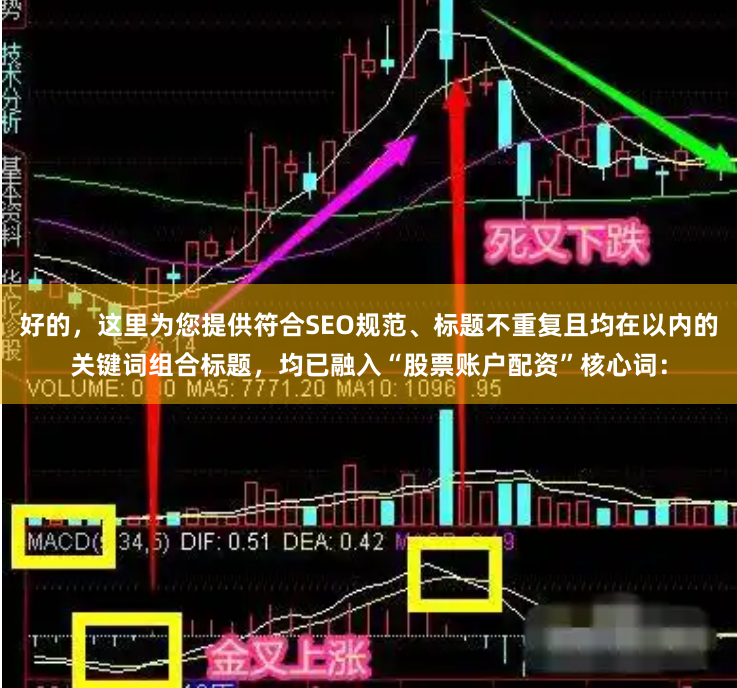 好的，这里为您提供符合SEO规范、标题不重复且均在以内的关键词组合标题，均已融入“股票账户配资”核心词：
